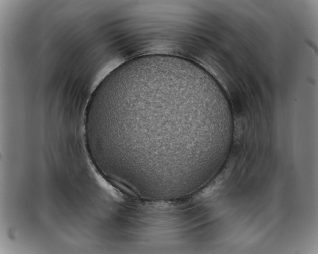 X0000097461042200803071627