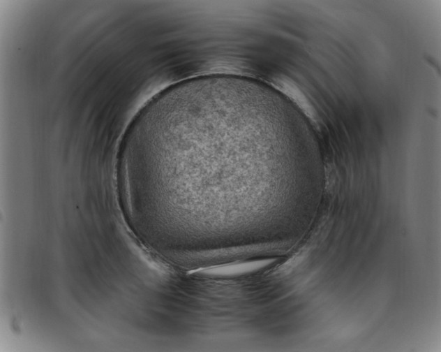 X0000097461043200803071627