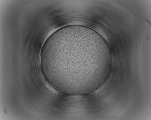 X0000097461044200803071627