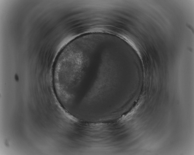 X0000097461045200803071627