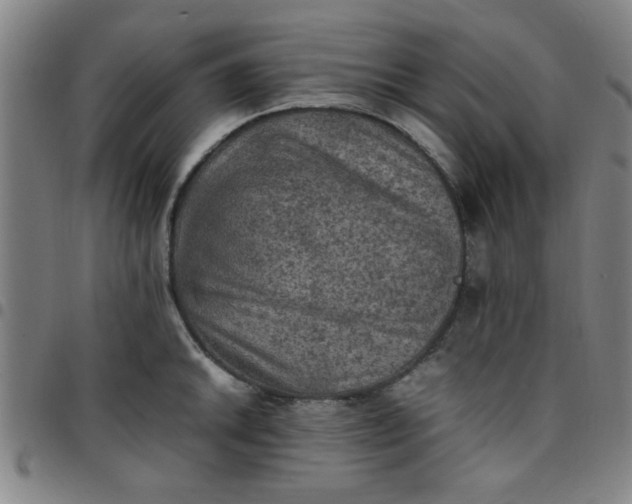 X0000097461046200803071627