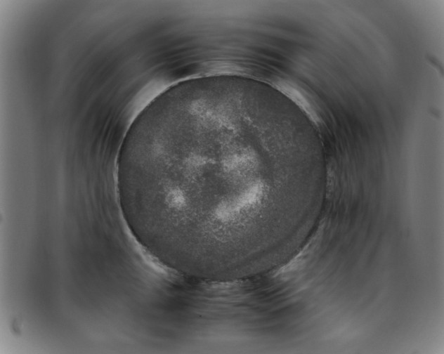 X0000097461047200803071627