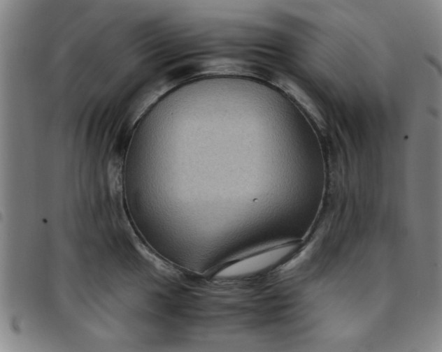 X0000097461049200803071627