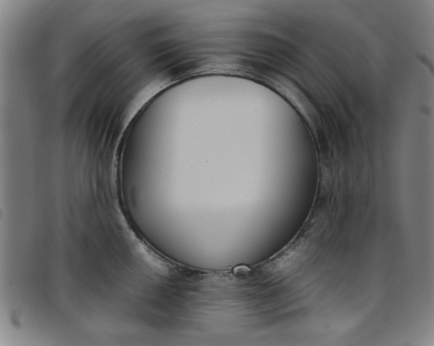 X0000097461050200803071627