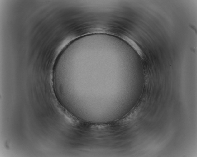 X0000097461051200803071627