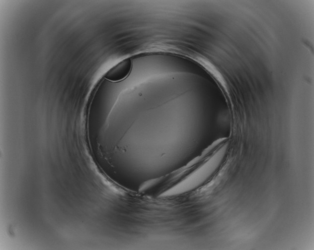 X0000097461053200803071627