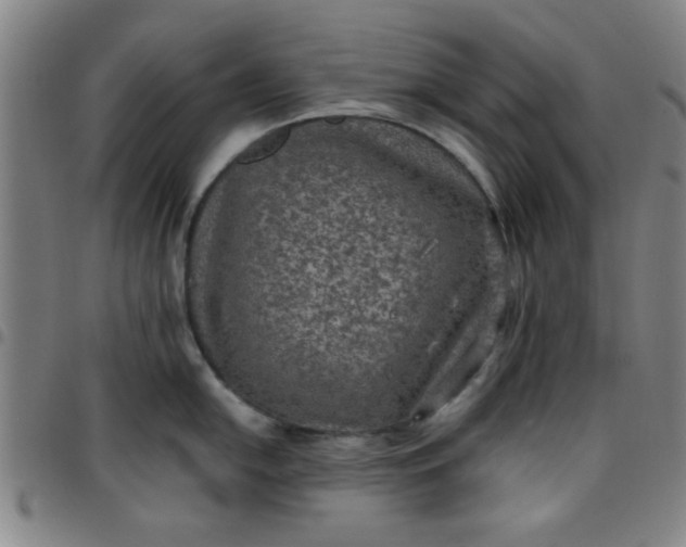 X0000097461054200803071627