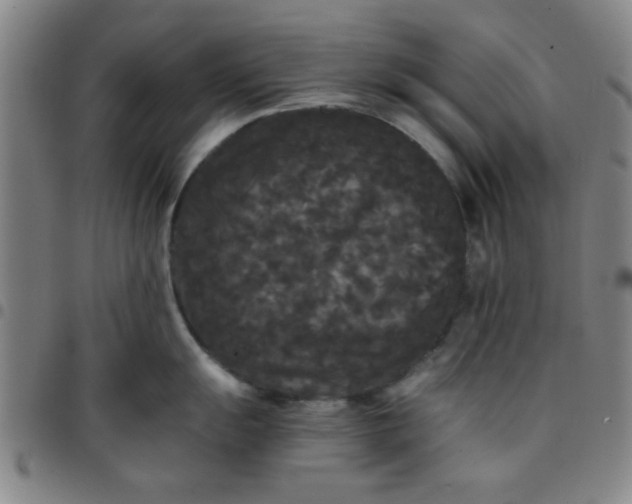 X0000097461055200803071627