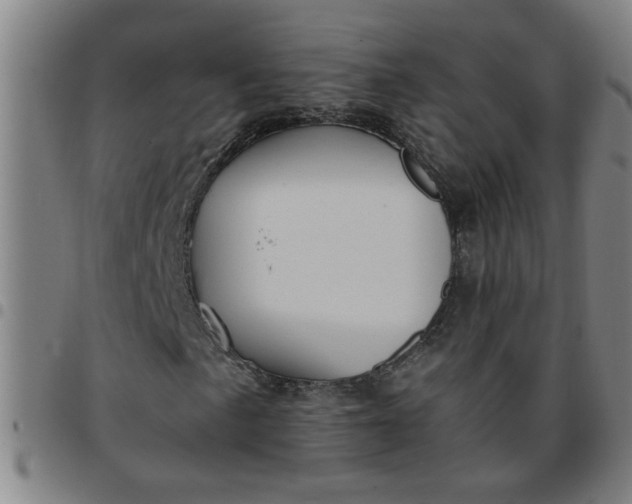 X0000097461057200803071626