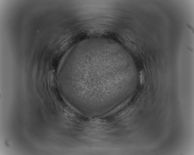 X0000097461059200803071626