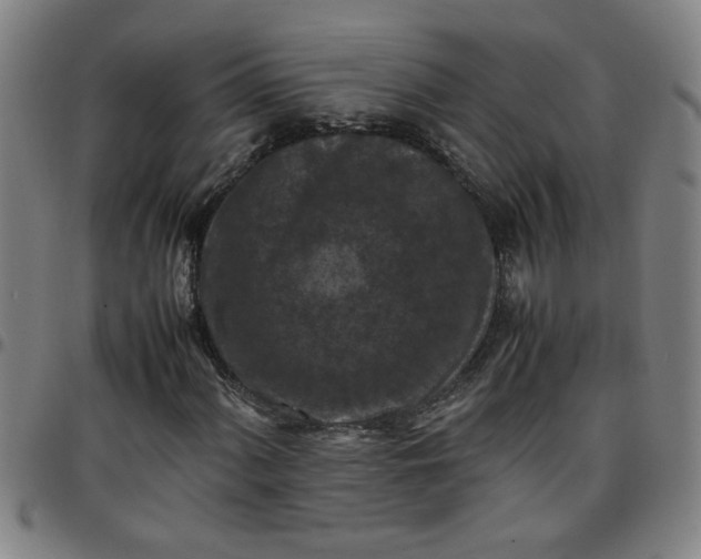 X0000097461060200803071626