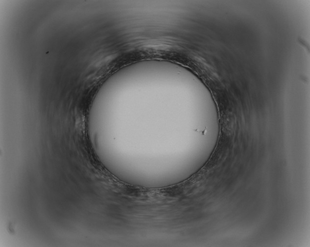 X0000097461061200803071626