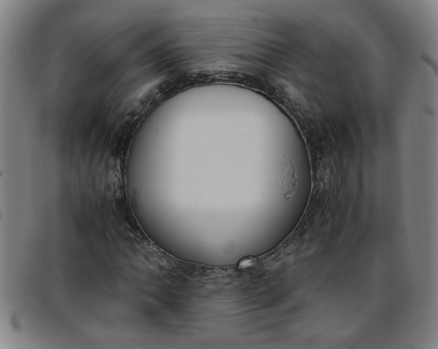 X0000097461062200803071626