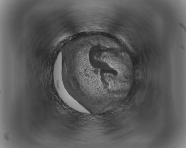 X0000097461063200803071626