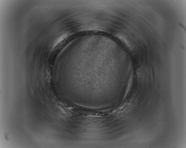 X0000097461064200803071626