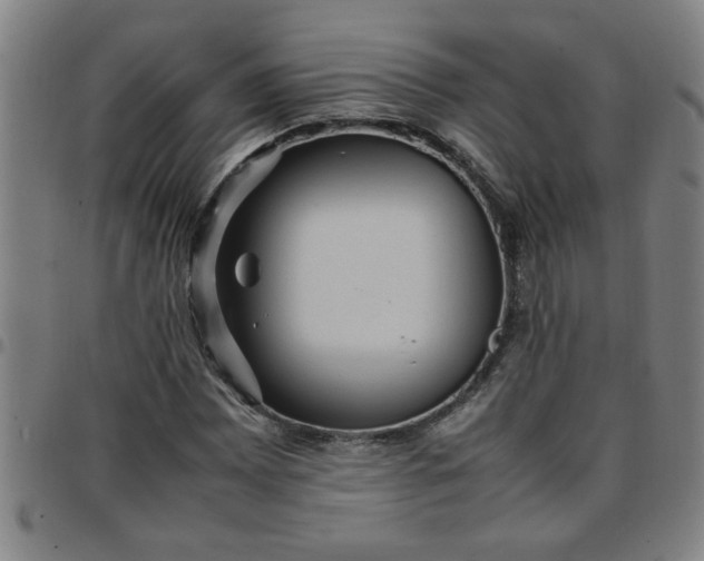 X0000097461065200803071626