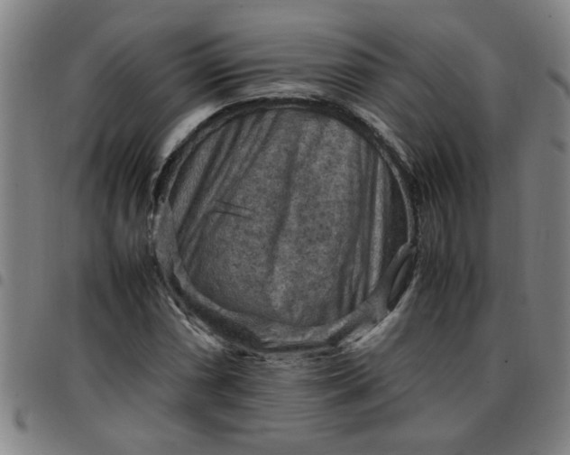 X0000097461066200803071626