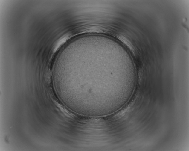 X0000097461067200803071626