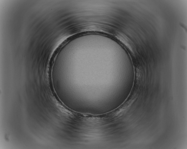 X0000097461068200803071626