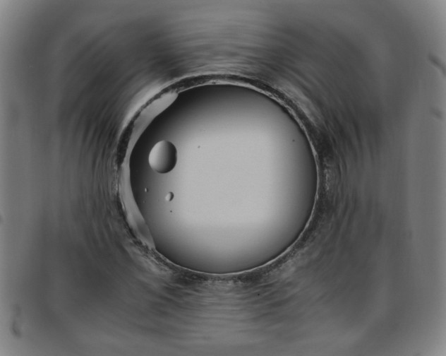 X0000097461069200803071626