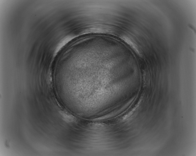 X0000097461070200803071626