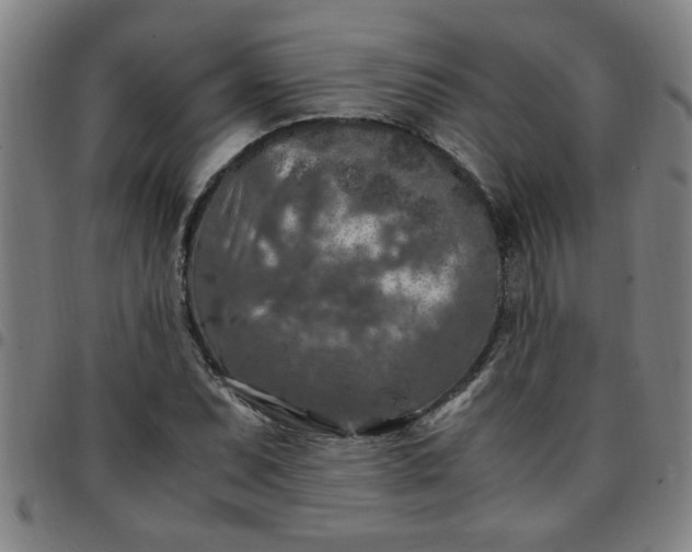 X0000097461071200803071626