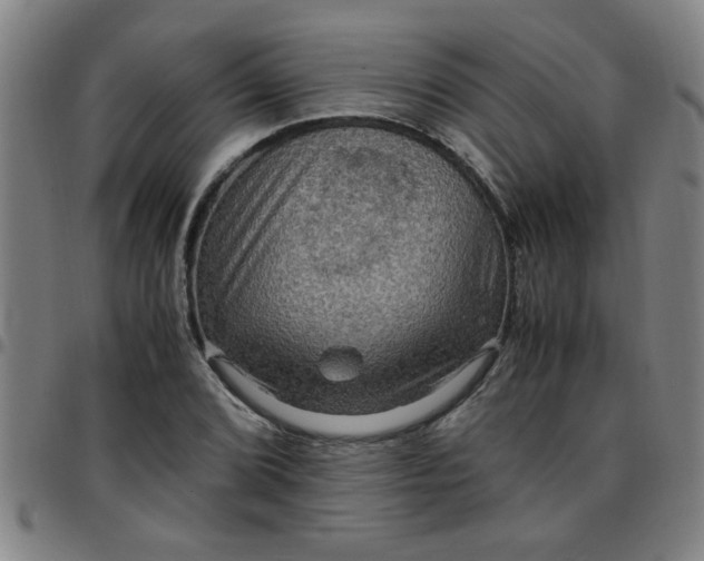 X0000097461072200803071626