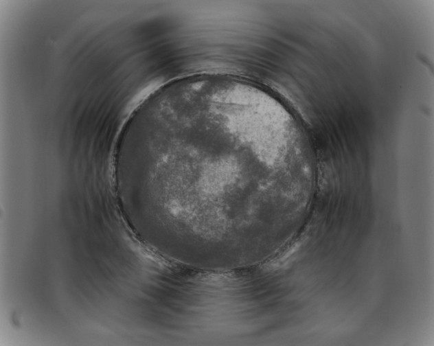 X0000097461074200803071626