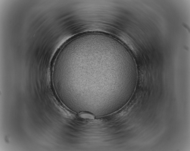 X0000097461076200803071626