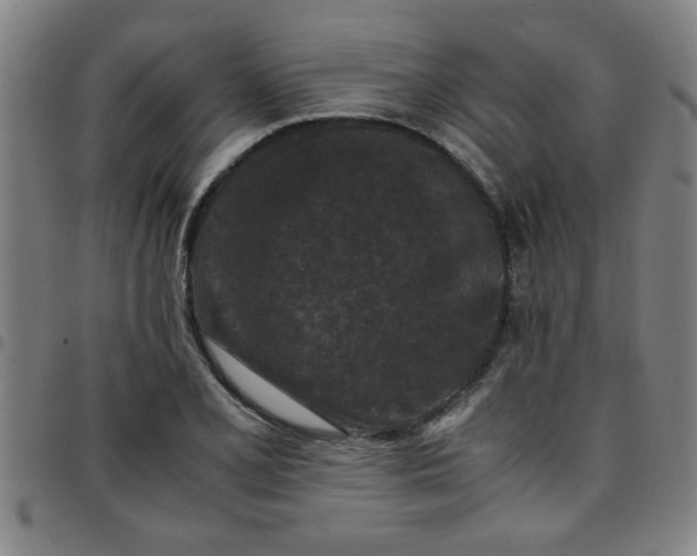 X0000097461077200803071626