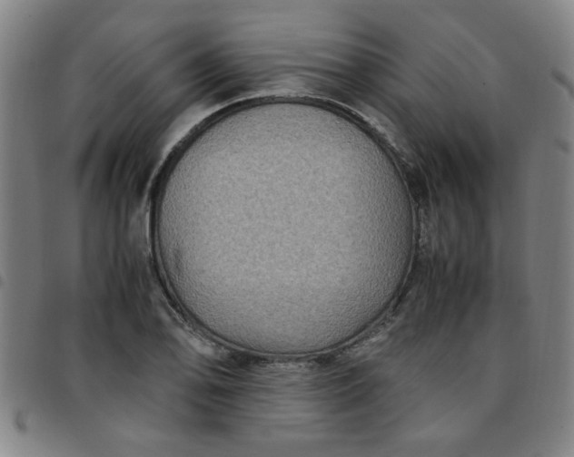 X0000097461078200803071626