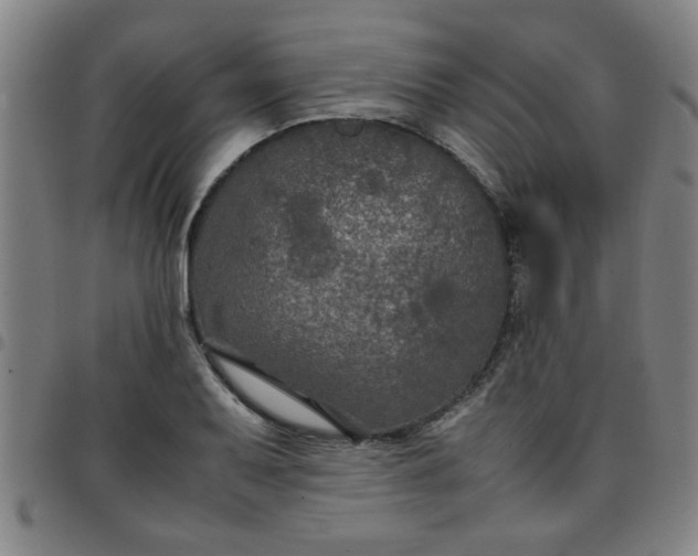 X0000097461079200803071626