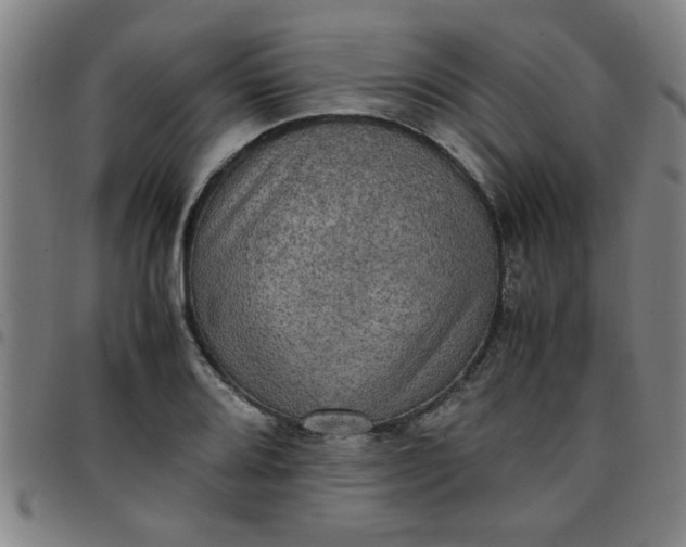 X0000097461080200803071626