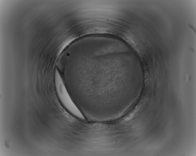 X0000097461081200803071626