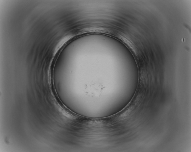 X0000097461082200803071626