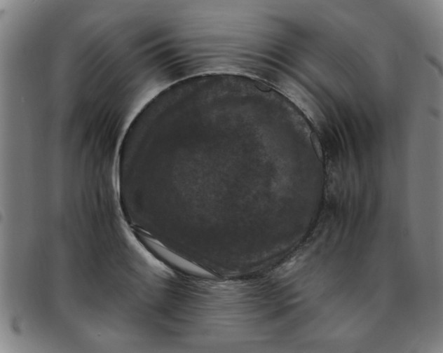 X0000097461084200803071626