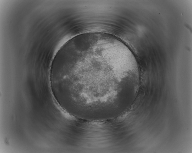 X0000097461086200803071626