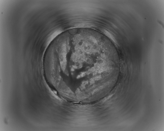 X0000097461087200803071626