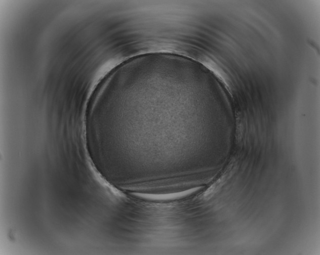 X0000097461088200803071626