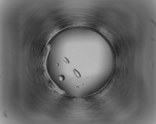 X0000097461089200803071626