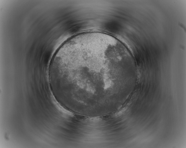 X0000097461090200803071626