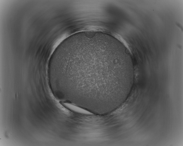 X0000097461091200803071626