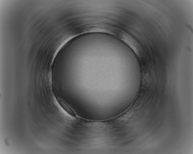 X0000097461092200803071626