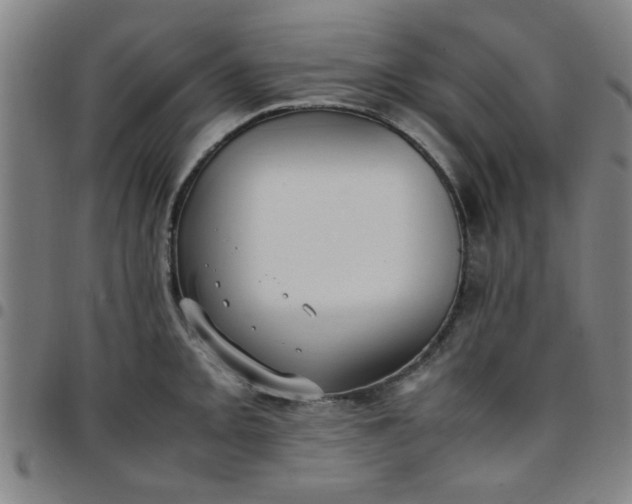 X0000097461093200803071626