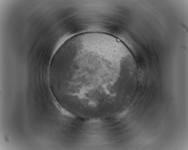 X0000097461094200803071626