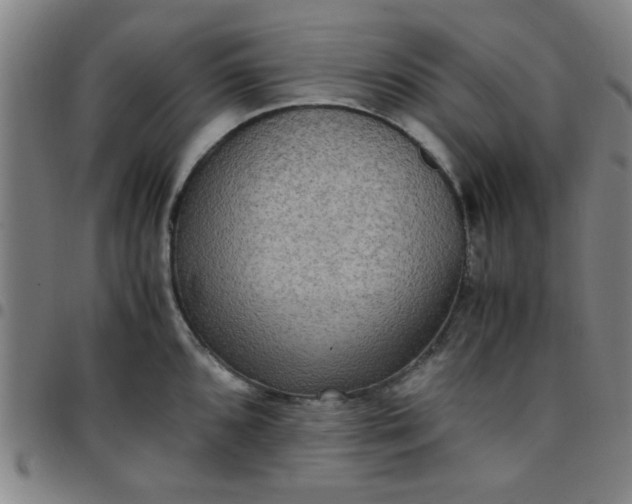 X0000097461096200803071626