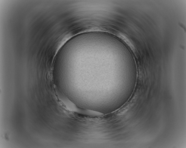 X0000097461097200803071626