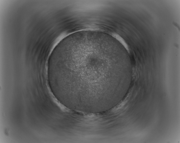 X0000097461099200803071625