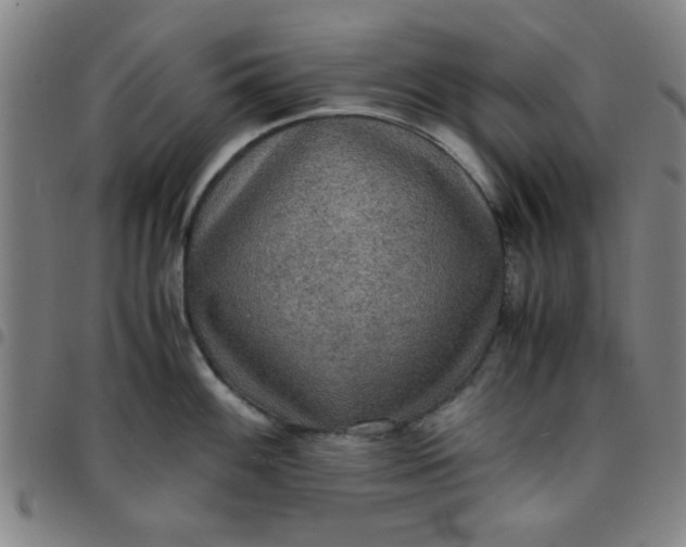 X0000097461100200803071625