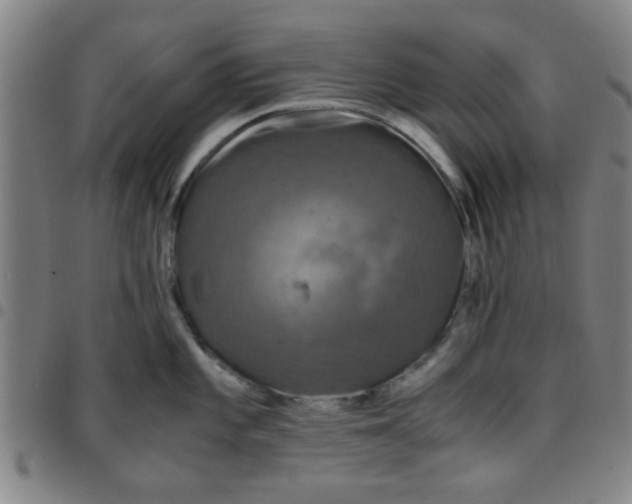 X0000097461101200803071625